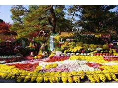 岐阜公園 菊人形・菊花展の写真1