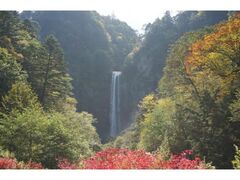 平湯温泉の紅葉の写真1