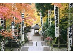 谷汲山華厳寺の紅葉の写真1