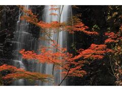 宇津江四十八滝の紅葉の写真1