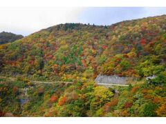 伊吹山ドライブウェイの紅葉の写真1