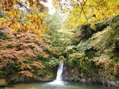 横谷峡 四つの滝の紅葉の写真1