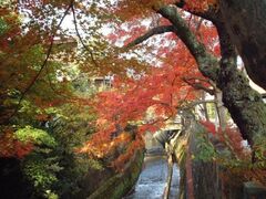 江名子川の紅葉の写真1