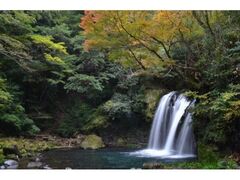伊豆天城路 河津秋まつりの写真1
