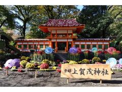 楽寿園菊まつりの写真1