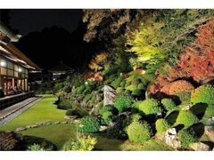 龍潭寺 紅葉の庭園 夜の特別公開の写真1