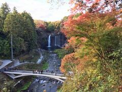 白糸の滝の紅葉の写真1