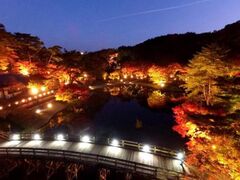 修善寺 虹の郷の紅葉の写真1