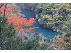 寸又峡の紅葉の写真1