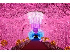 時之栖イルミネーション「ひかりのすみか」の写真1