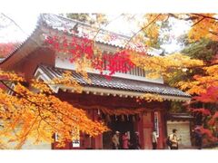 油山寺の紅葉の写真1
