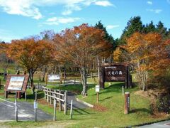 天竜の森の紅葉の写真1