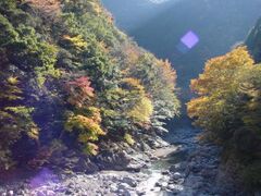 明神峡の紅葉の写真1