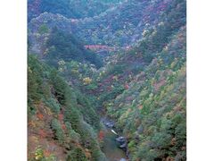 接岨峡の紅葉の写真1