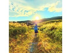 稲取細野高原 秋のすすき観賞会の写真1