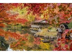 東山動植物園もみじ狩りの写真1