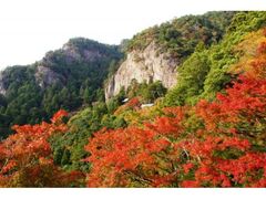鳳来寺山のもみじの写真1