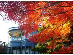 博物館 明治村の紅葉の写真1