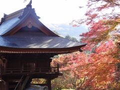 普門寺 もみじ祭りの写真1