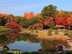 夢・彩・発見 ふじおか紅葉まつりの写真1