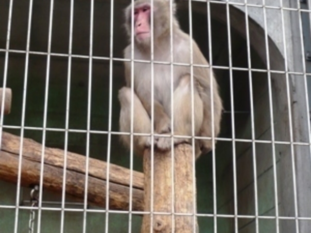 ウォーレンさんの陶祖公園の投稿写真1