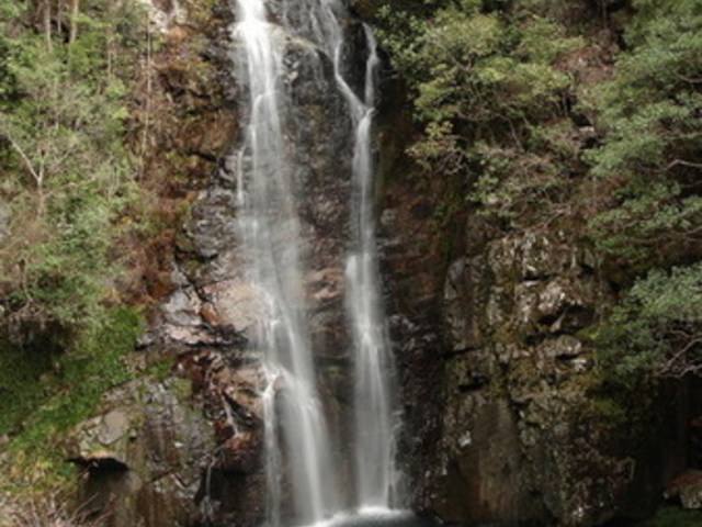 ぽんぽこさんの観音滝の投稿写真1