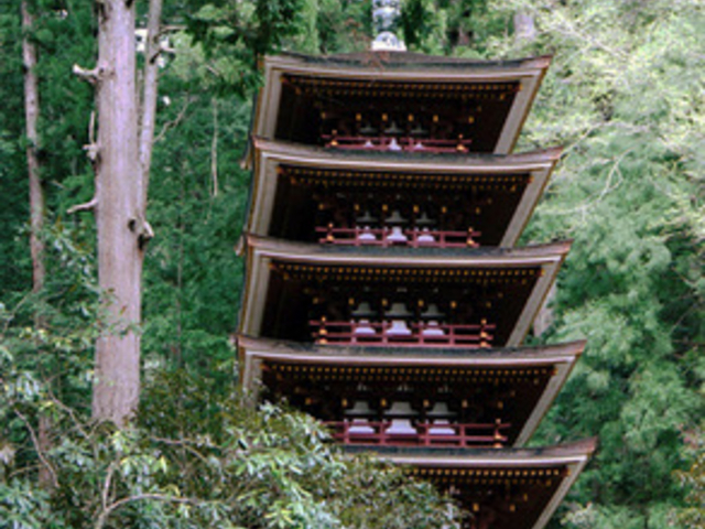 室生寺の石楠花