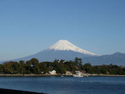 きゃらさんの大瀬崎の投稿写真1