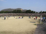 FUMさんの桐生市南公園の梅の投稿写真1