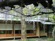 そらちゃんさんの京王百草園の投稿写真1