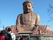 ウォーレンさんの聚楽園の大仏の投稿写真1