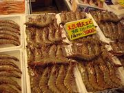 マロンさんの豊浜魚ひろばの投稿写真1