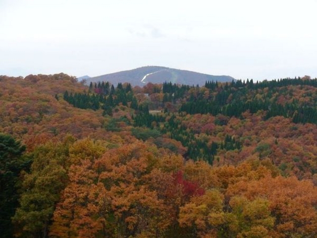 もみのき森林公園