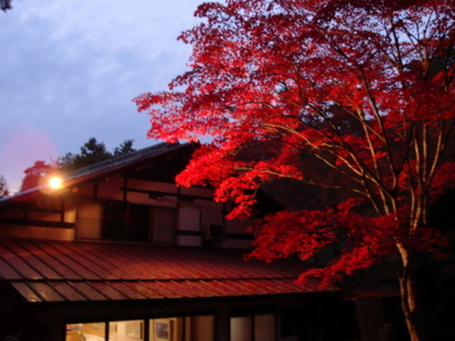 宮島の紅葉
