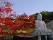 みつねんさんの壷阪寺(南法華寺)の投稿写真1