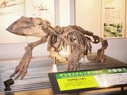 GUNBO★さんの足寄動物化石博物館の投稿写真1