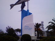 GUNBO★さんの仙崎カマボコの投稿写真1