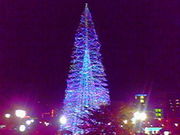 みやっちんぐみやちこ先生さんの渚親水公園・ムーンテラスの投稿写真1