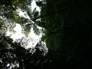 あまみほさんの金作原の投稿写真1