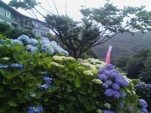またいちさんの三ケ根山スカイラインの投稿写真1