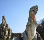 よっちんさんのカブトガニ博物館の投稿写真1