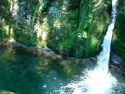 シェリーさんの花貫渓谷の投稿写真1