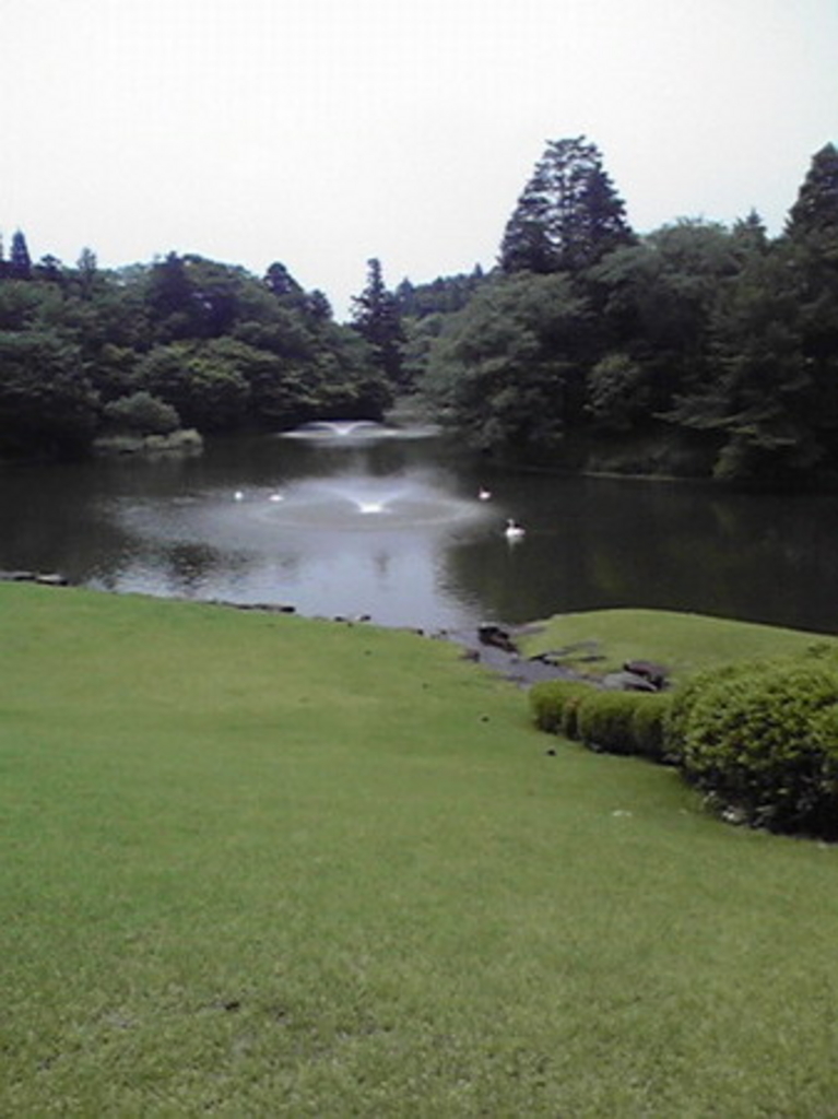DIC川村記念美術館