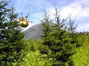 ノースキャロットさんの尻別岳の投稿写真1