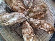 アゴさんの松島蒲鉾本舗の投稿写真1