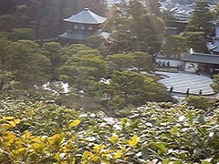 銀閣寺(慈照寺)の写真1
