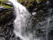 松さんの犬鳴山の投稿写真1