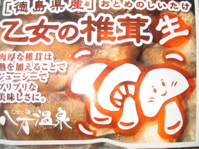 乙女の湯 八万温泉
