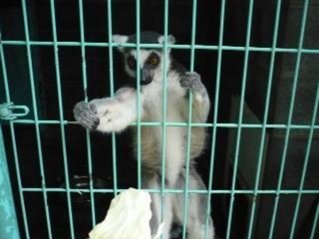 福知山市動物園