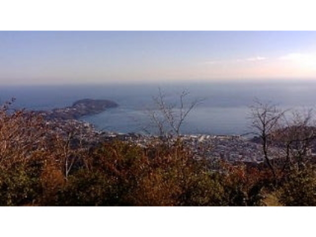 城山公園ピクニックグラウンド